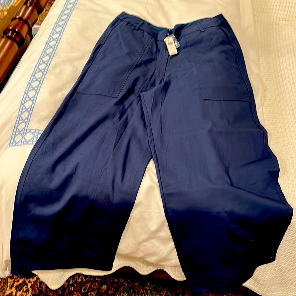 Tiny brand wide leg trouser XL nwt from anthropologie